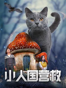 91在线精品秘密一区二区